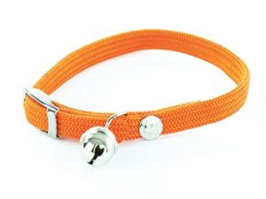 Halsband kat elastisch nylon oranje