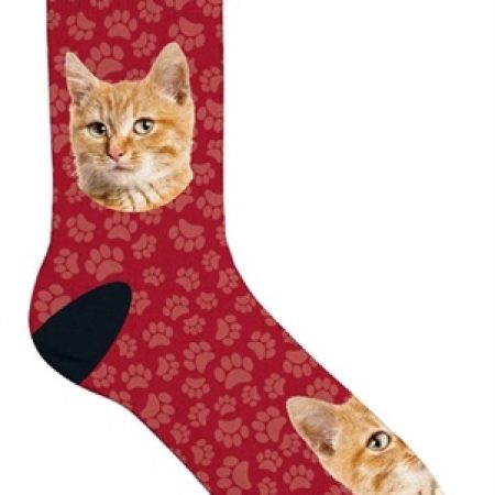 Plenty gifts sokken rode kat